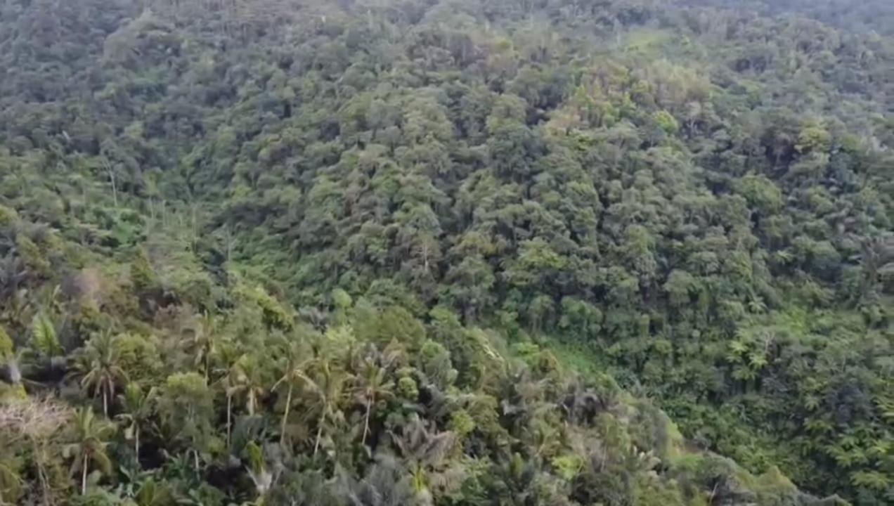 Bali Mountain Forest Cabin Penebel Exterior foto