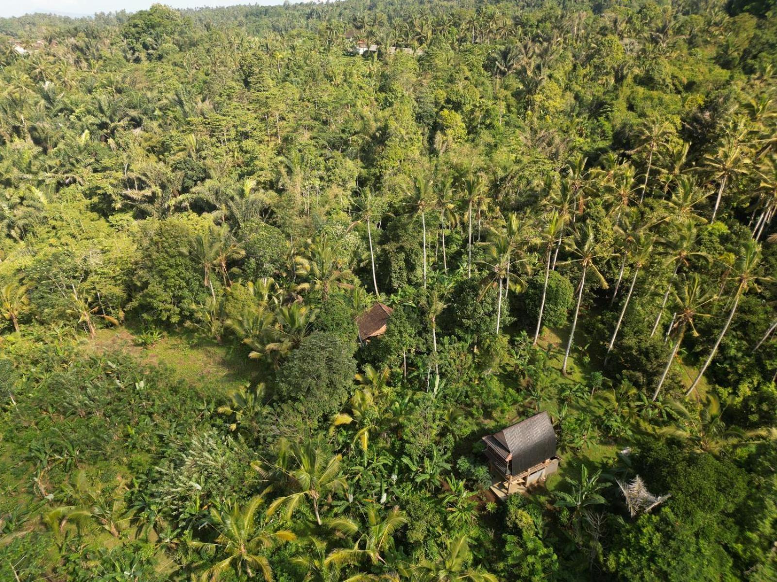 Bali Mountain Forest Cabin Penebel Zimmer foto